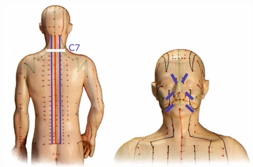 Scenar Three Pathways